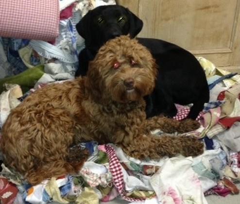 Jardine Moore Fabrics