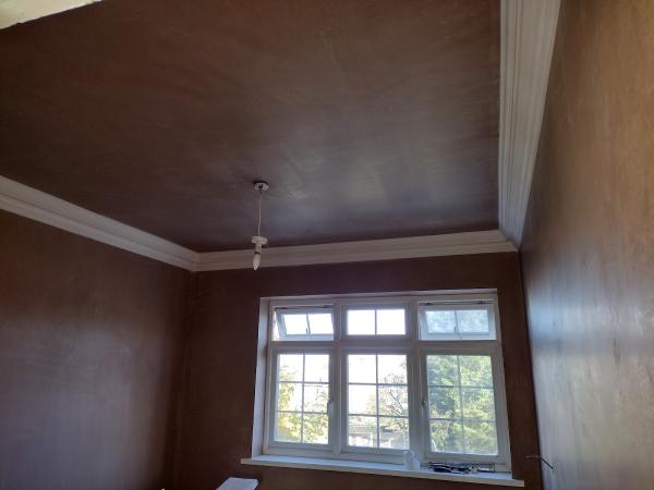 Rich's Plastering Services