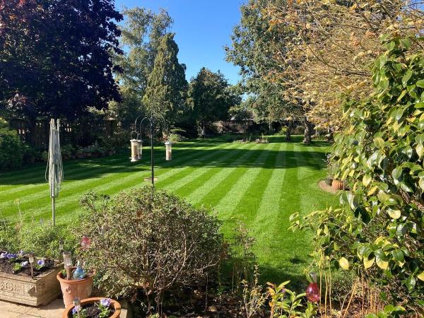 Will's Norfolk Lawns Limited