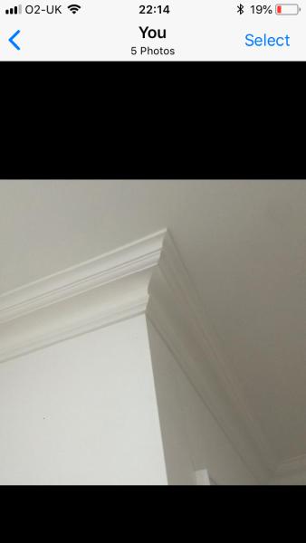Plastering Designs Coving & Cornice Specialist