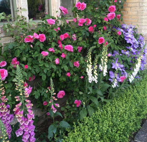 Jo Keveth Garden Design