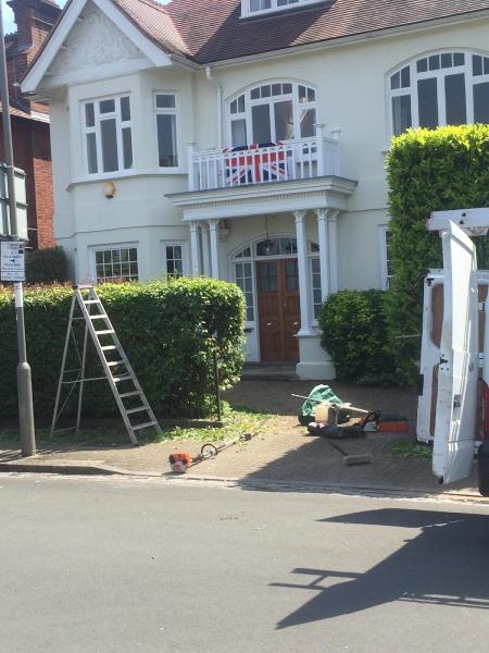 Tree Line Servicing