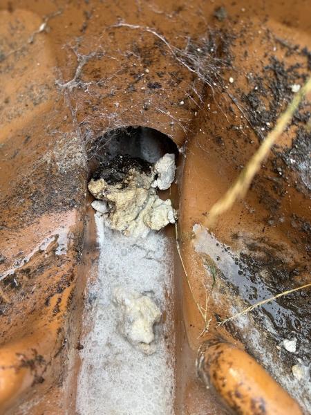 Pro-Rod Drainage Solutions