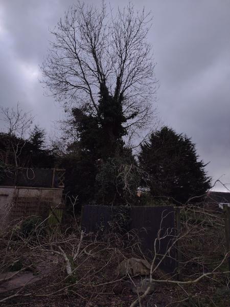 Jon's Tree Services N.I