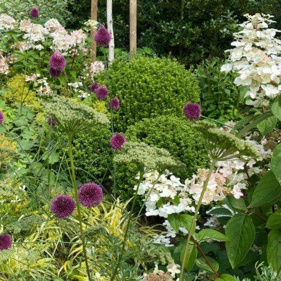 The Cheshire Garden Design Studio