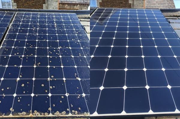 Clean Tech Carpet & Oven Cleaning
