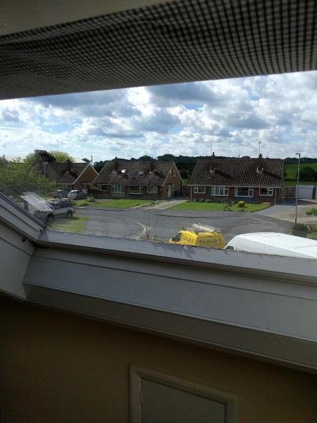 Cloud 9 Window Replacements