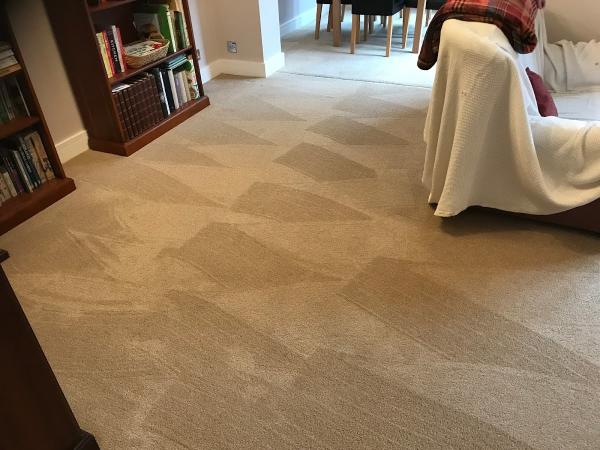 Naturally-Dry Carpet and Upholstery Cleaners