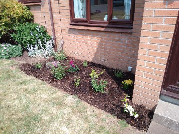 Ferguson Grasscutting Weedkilling Limited