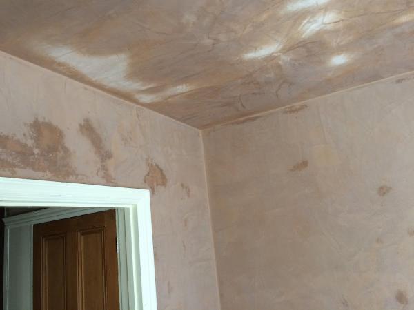 Apple Plastering