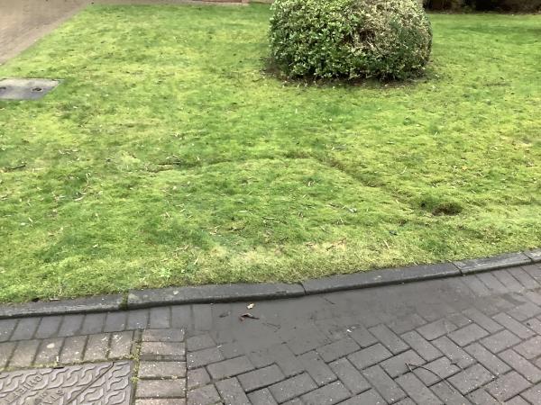 Newtown Waste Solutions