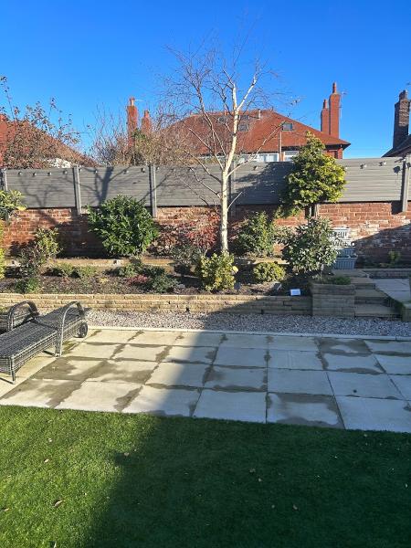 Shaun Hackett Tree Services