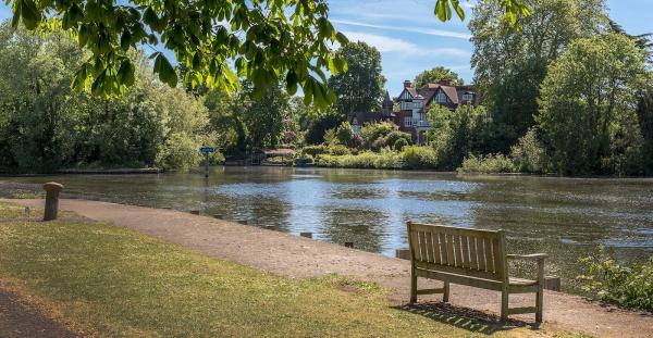 Robinson Estate Agents