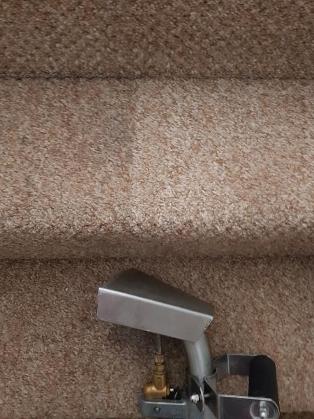 Premier Carpet & Upholstery Cleaning