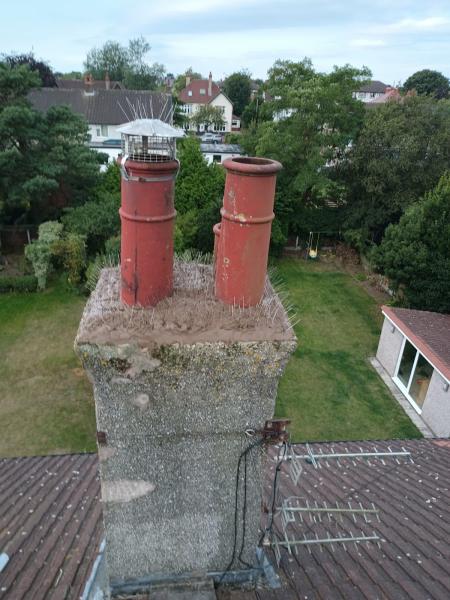 Wilson's Chimney Specialist Ltd