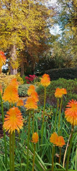 Oliver's Garden Services