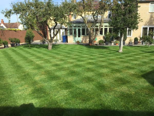 Cambs Total Turfcare
