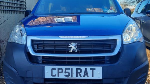 Conwy Pest Solutions