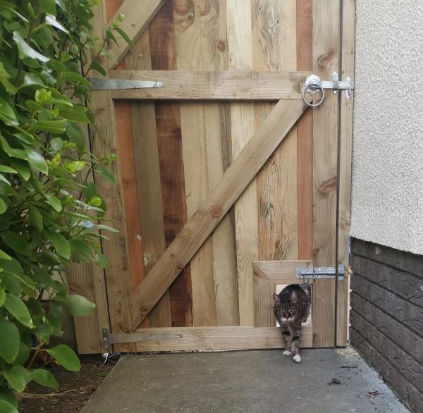 Phoenix Fencing & Decking