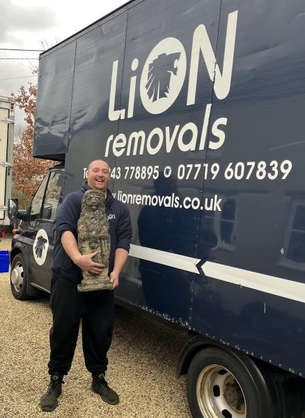 Lion Removals