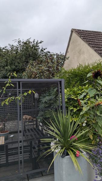 Treemendous Tree Surgery