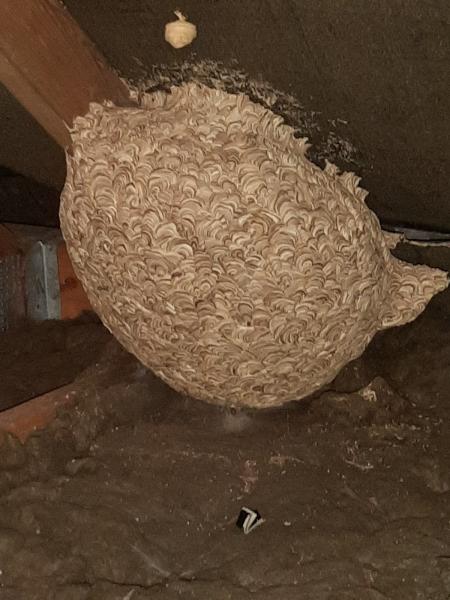 Bradford Pest Control