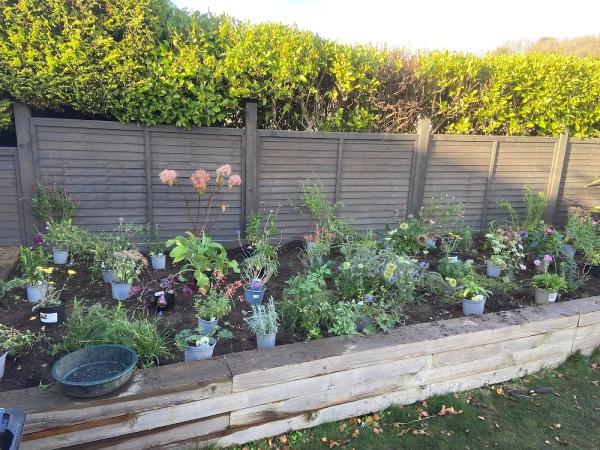 Katie's Green Gardens