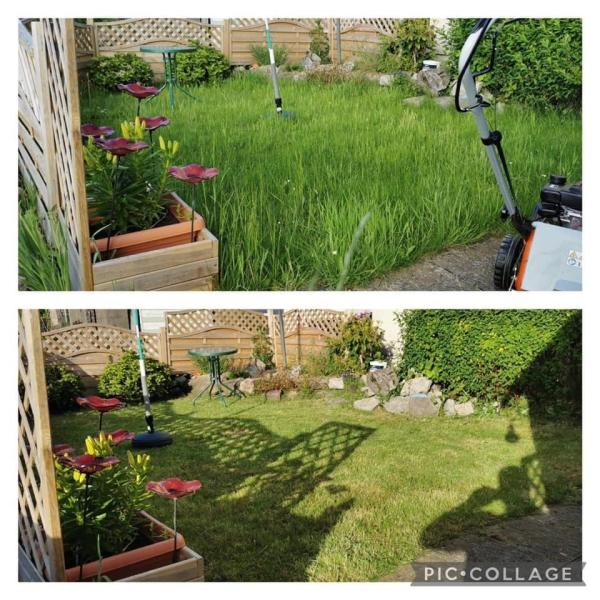 Spartan Waste & Gardening