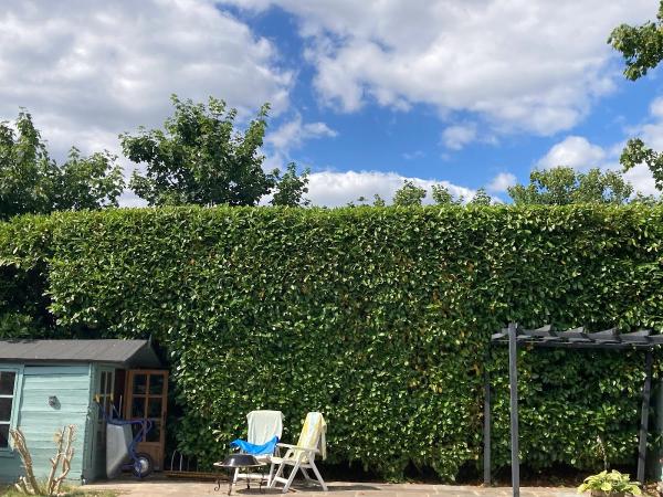 Poole Arbor Tree Services