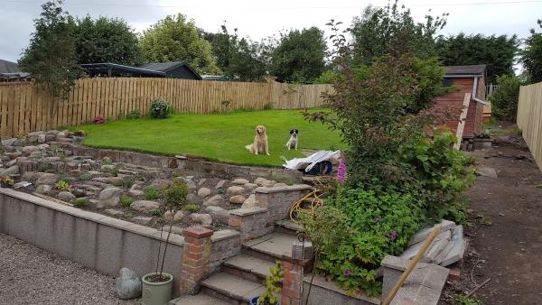 Dundee Fence Builders