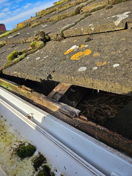 The Gutter Men