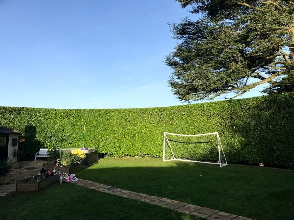 Mown and Grown Garden Maintenance