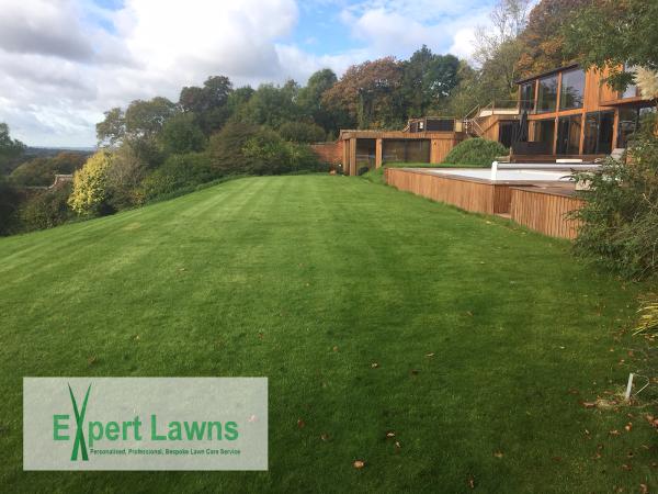 Expert Lawns