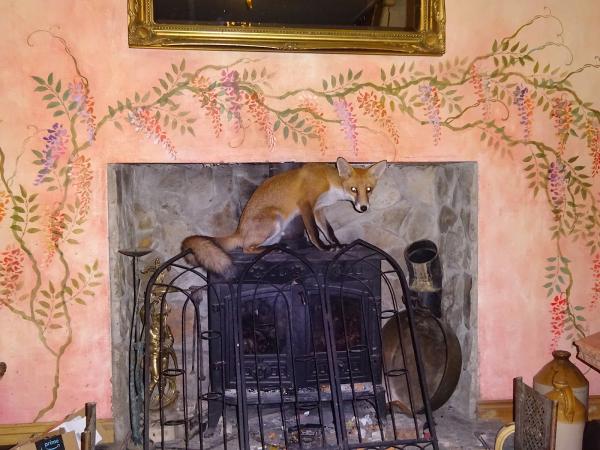 Browns Waste Management & Recycling Limited