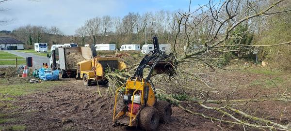 Underhill and Son Tree Surgery Ltd