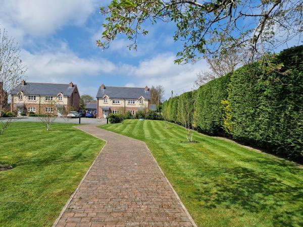 MTG Grounds Maintenance