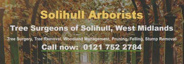 Solihull Arborists