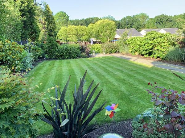 Bay Tree Garden Group