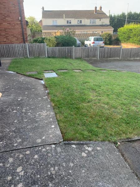 Alfies Landscapes LTD