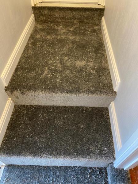 Phoenix Flooring & Bedrooms