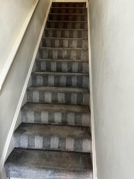 The Dumbarton Carpet Cleaner