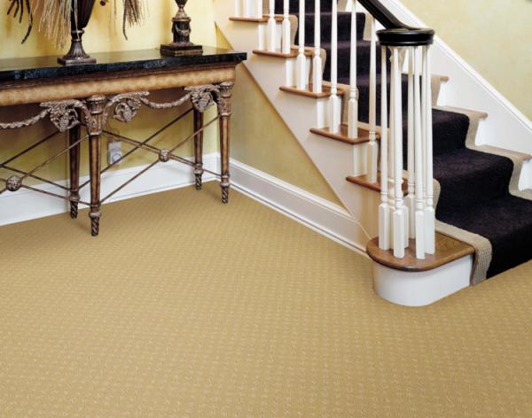 Andre Etienne Carpet & Floorcovering