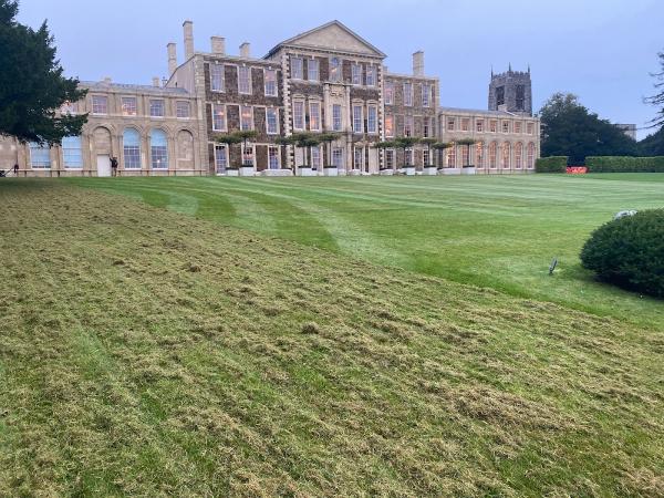 Lawns Matter