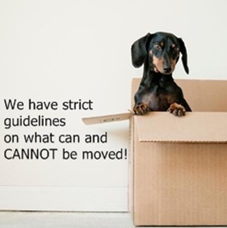 Capital Movers