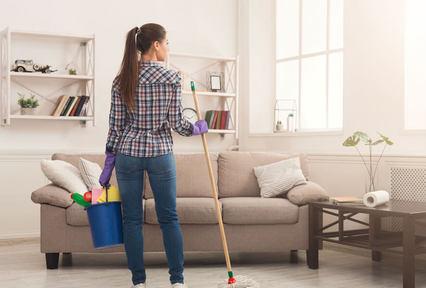 Forest Cleaning Services