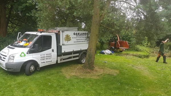 Oaklands Tree Specialists Ltd