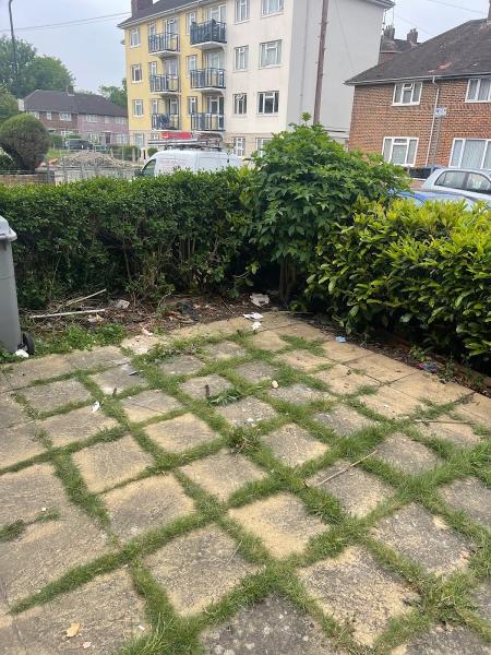 Kingston Waste Clearance