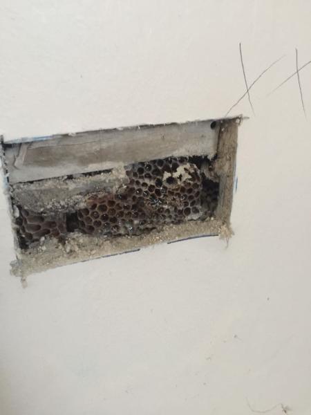 Biochem Pest Control Ltd