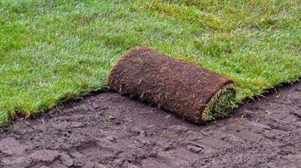 Paul Collier Creative Gardening