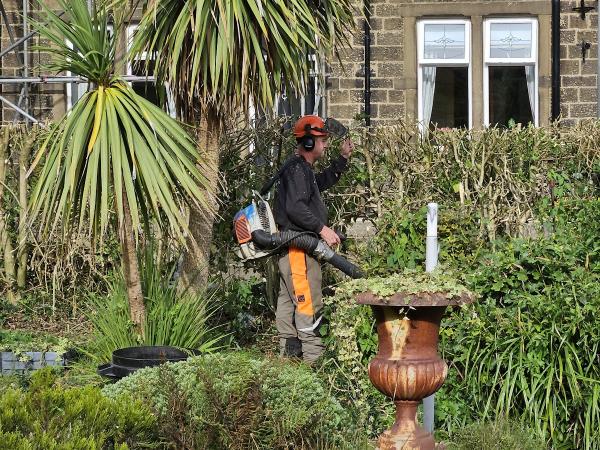 Airedale Tree Surgeons Ltd